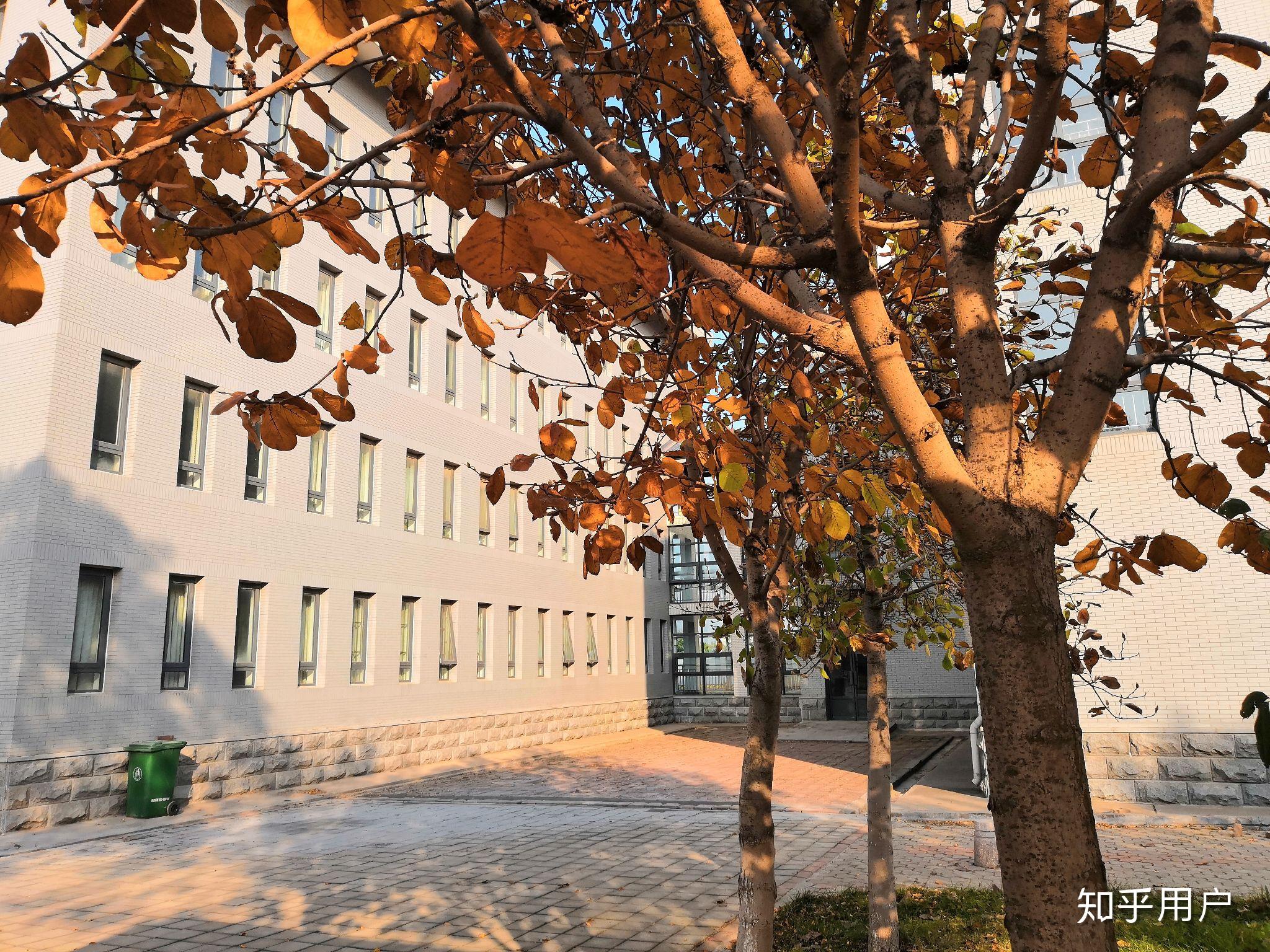 山東財經大學聖井校區宿舍怎麼樣