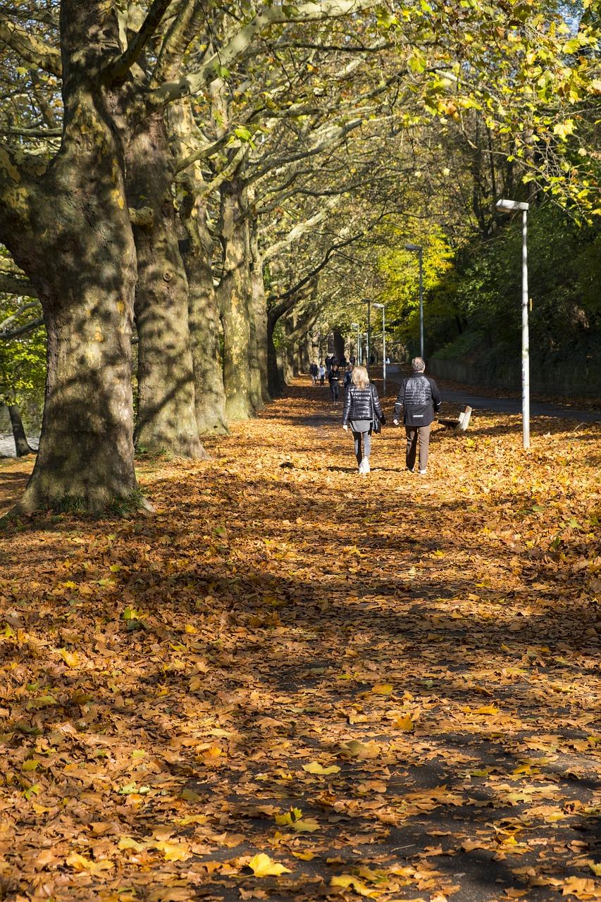雷锋大道宜居小区精选