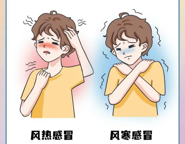 风热感冒和风寒感冒的区别是什么? - 知乎