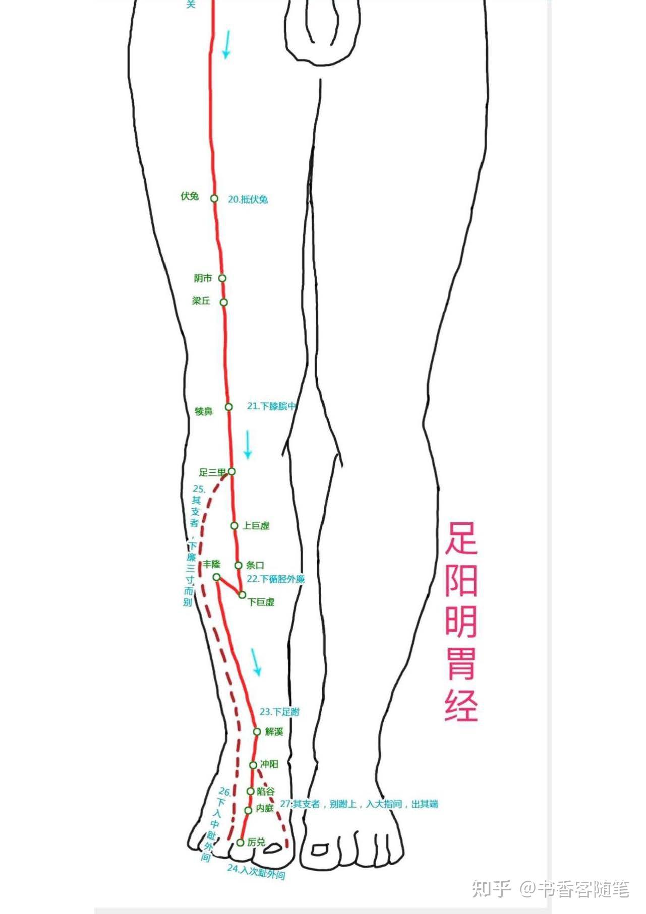倪海厦人纪针灸篇20笔记 - 知乎