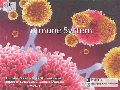 药物免疫毒性试验怎么做I（药物安全性评价系列10） 知乎