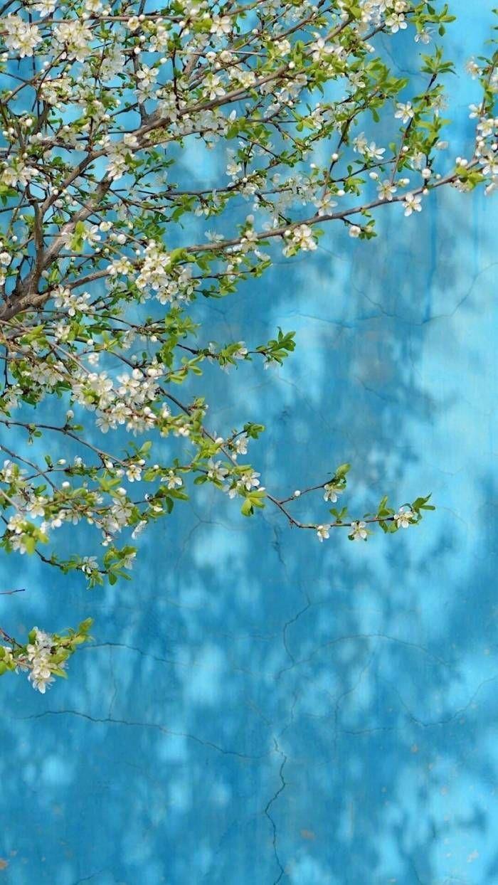 有什么壁纸适合作为微信运动的背景图? - 知乎