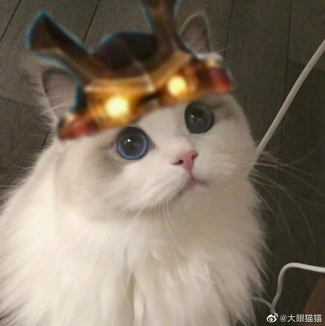 谁有王者荣耀五黑头像