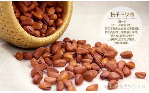 红松子的功效与作用 - 知乎