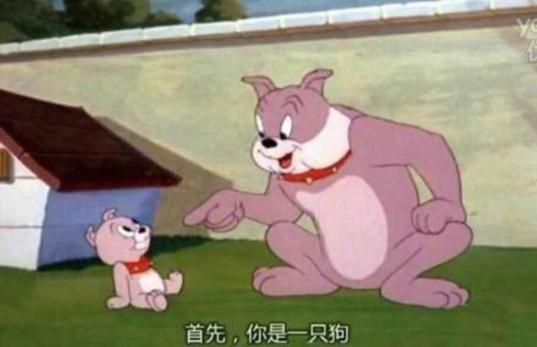 有没有一些《猫和老鼠》里面那个叫斯派克的狗的好玩的表情图?