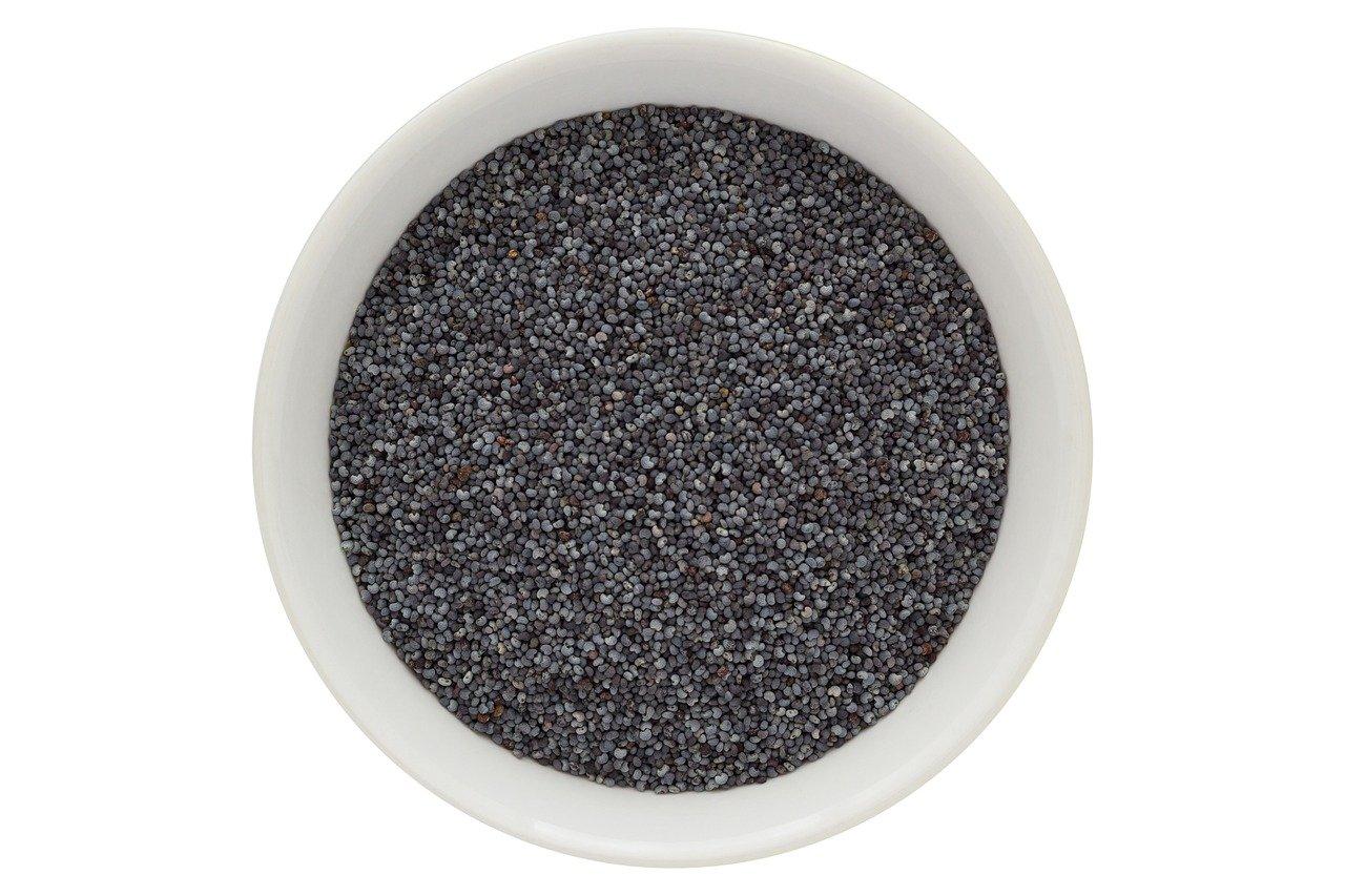 什么叫做有机什么叫做无机