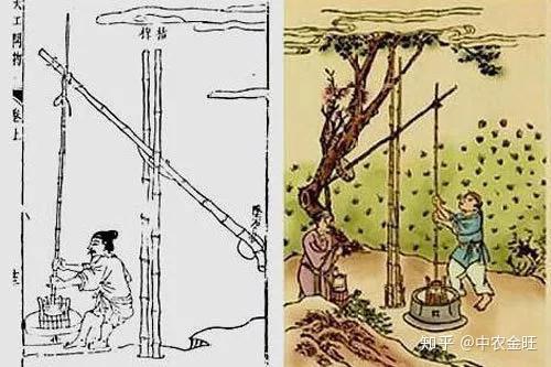 从古至今，这些节水灌溉技术的进步不能不知！ - 知乎