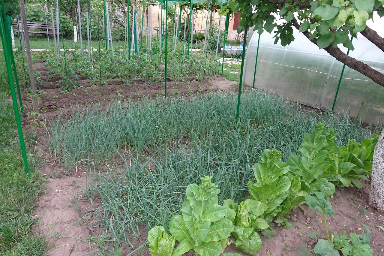 智能家居系统介绍