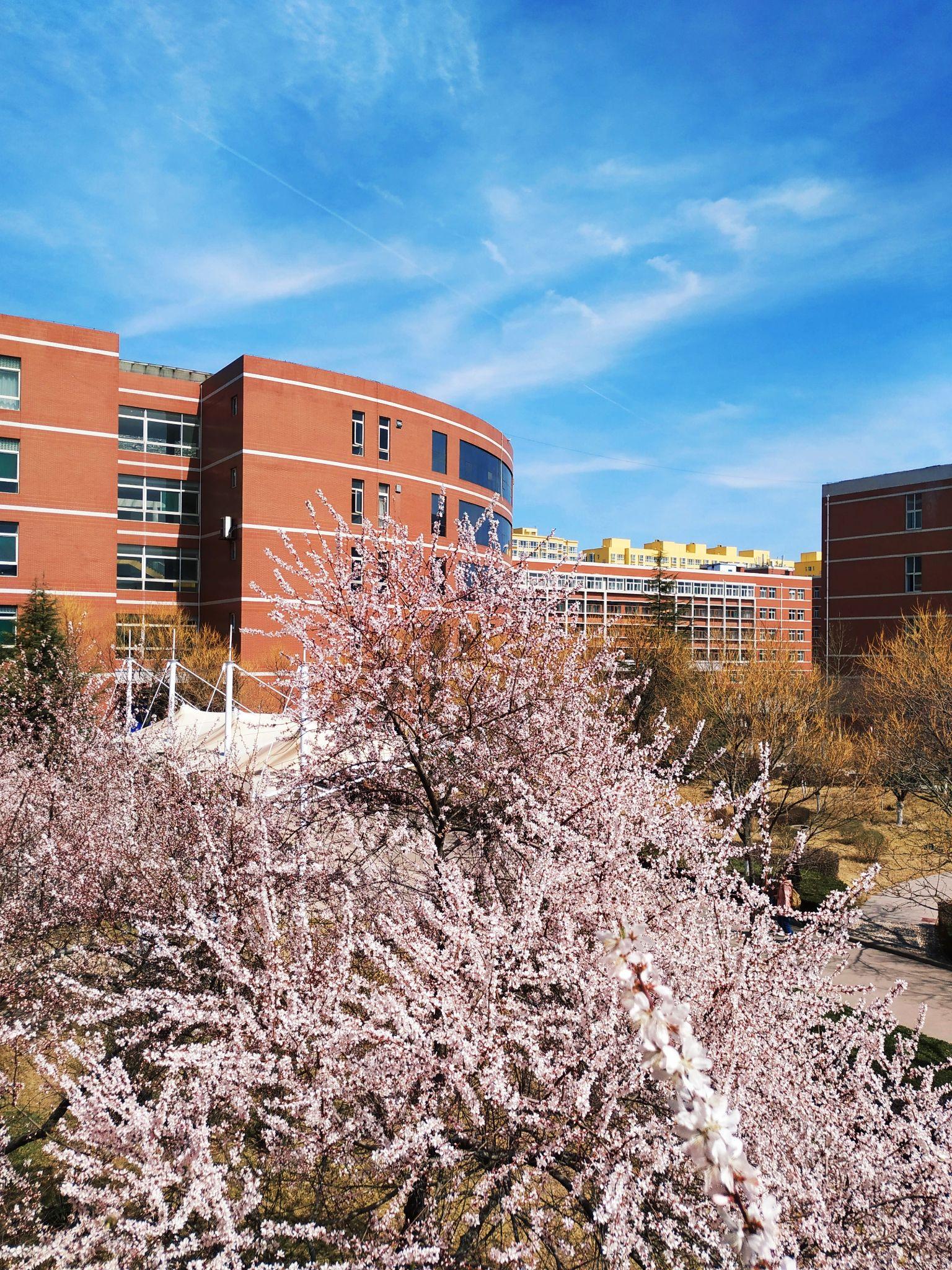 请问一下山西大学商务学院怎么样啊? - 知乎