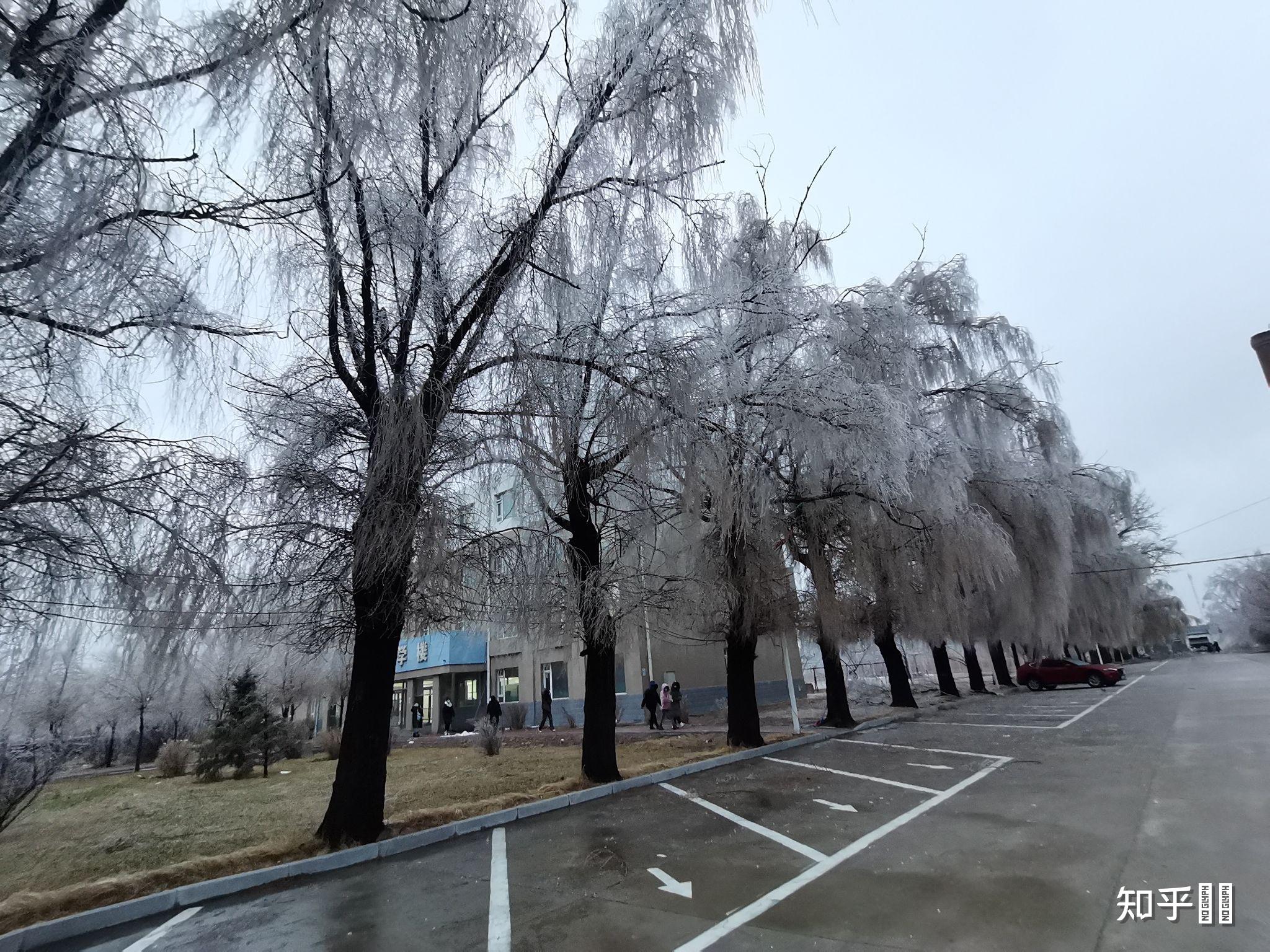 吉林师范大学四平分院怎么样