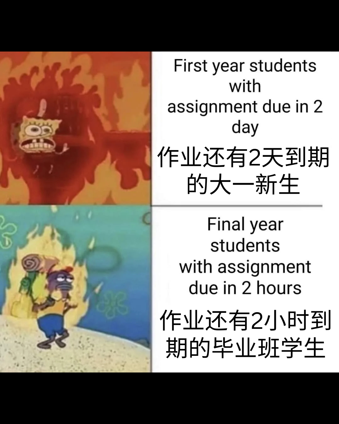 【每日meme】大学生活篇 - 知乎