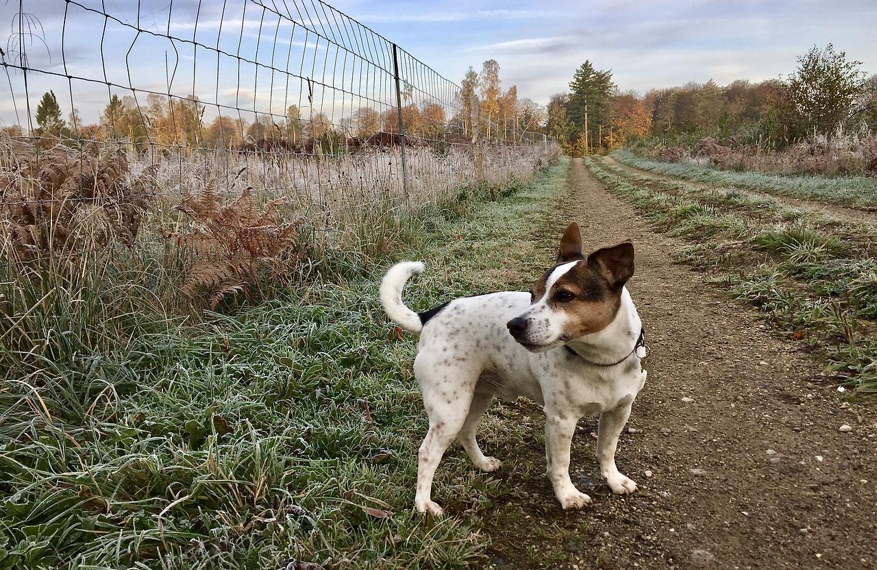 色彩心理学应用