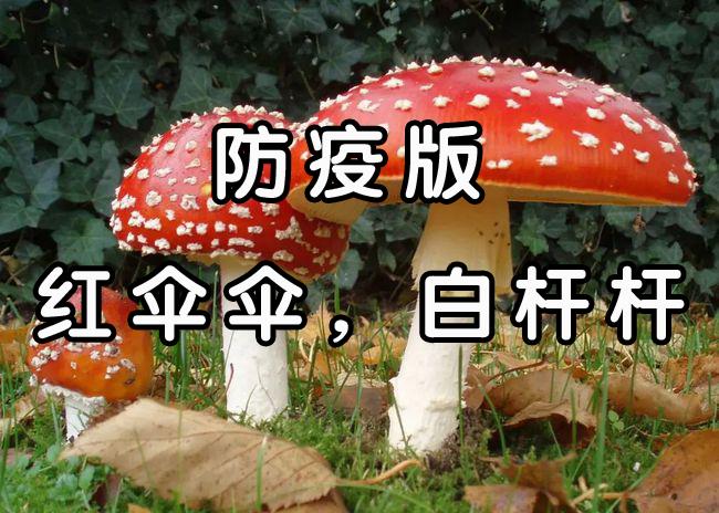 疫情版紅傘傘白杆杆