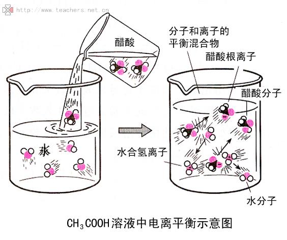 溶解平衡和电离平衡的区别