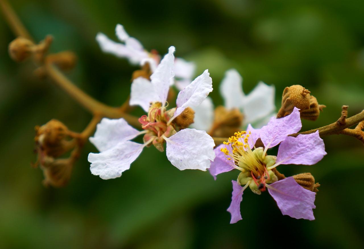 向日葵做主花怎么插花