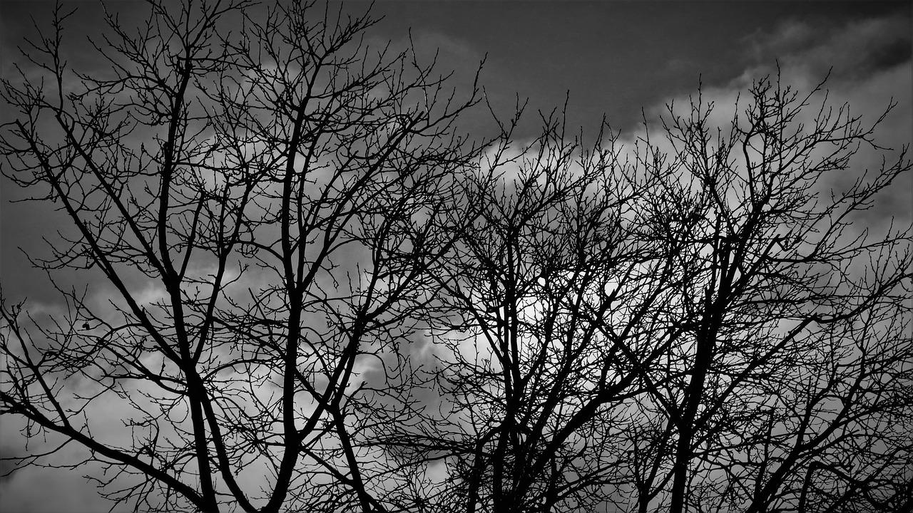 2. 轻薄便携设计