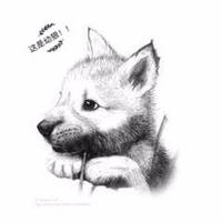Zhihu profile picture for @utai