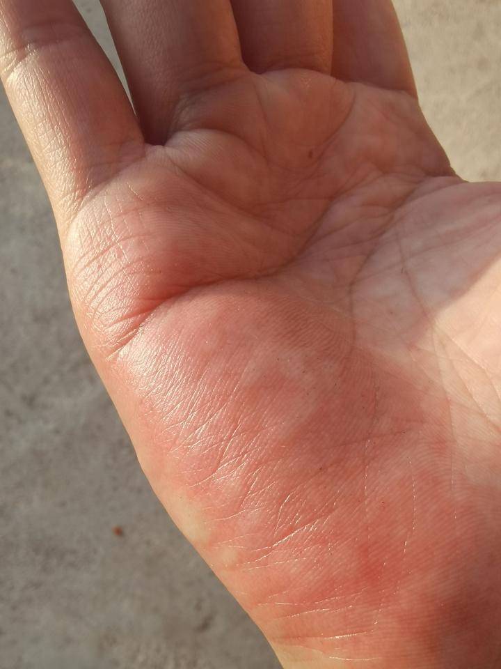 有哪些常被认错的动物?