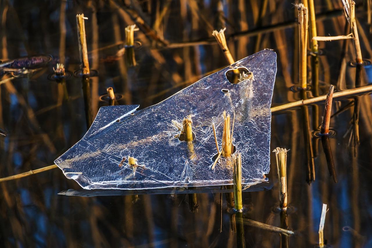 1. 冰吧温度标准