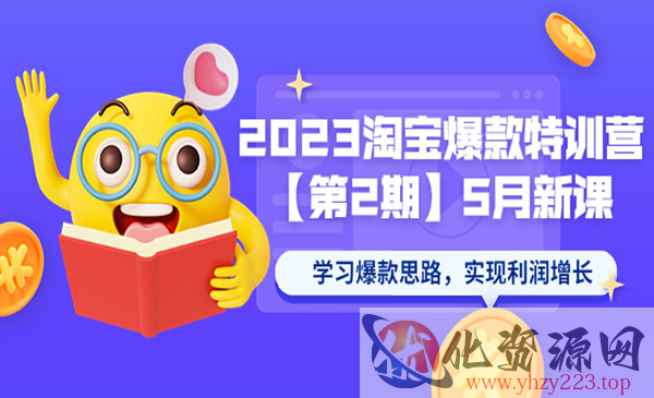 《2023淘宝爆款特训营》 学习爆款思路，实现利润增长_wwz