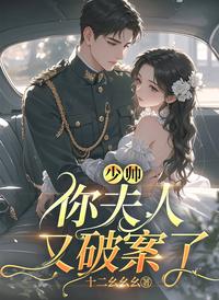 少帅，你夫人又破案了