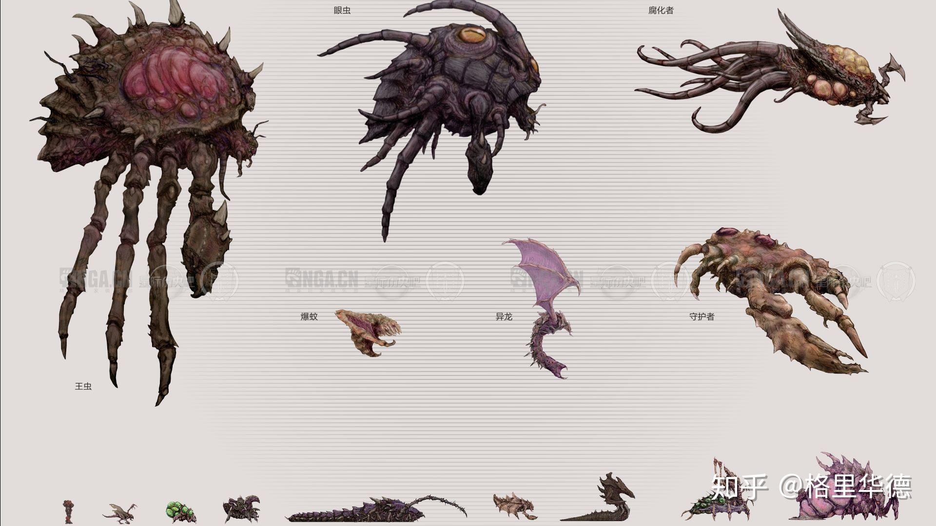 星际争霸中虫族各空中单位都有多大