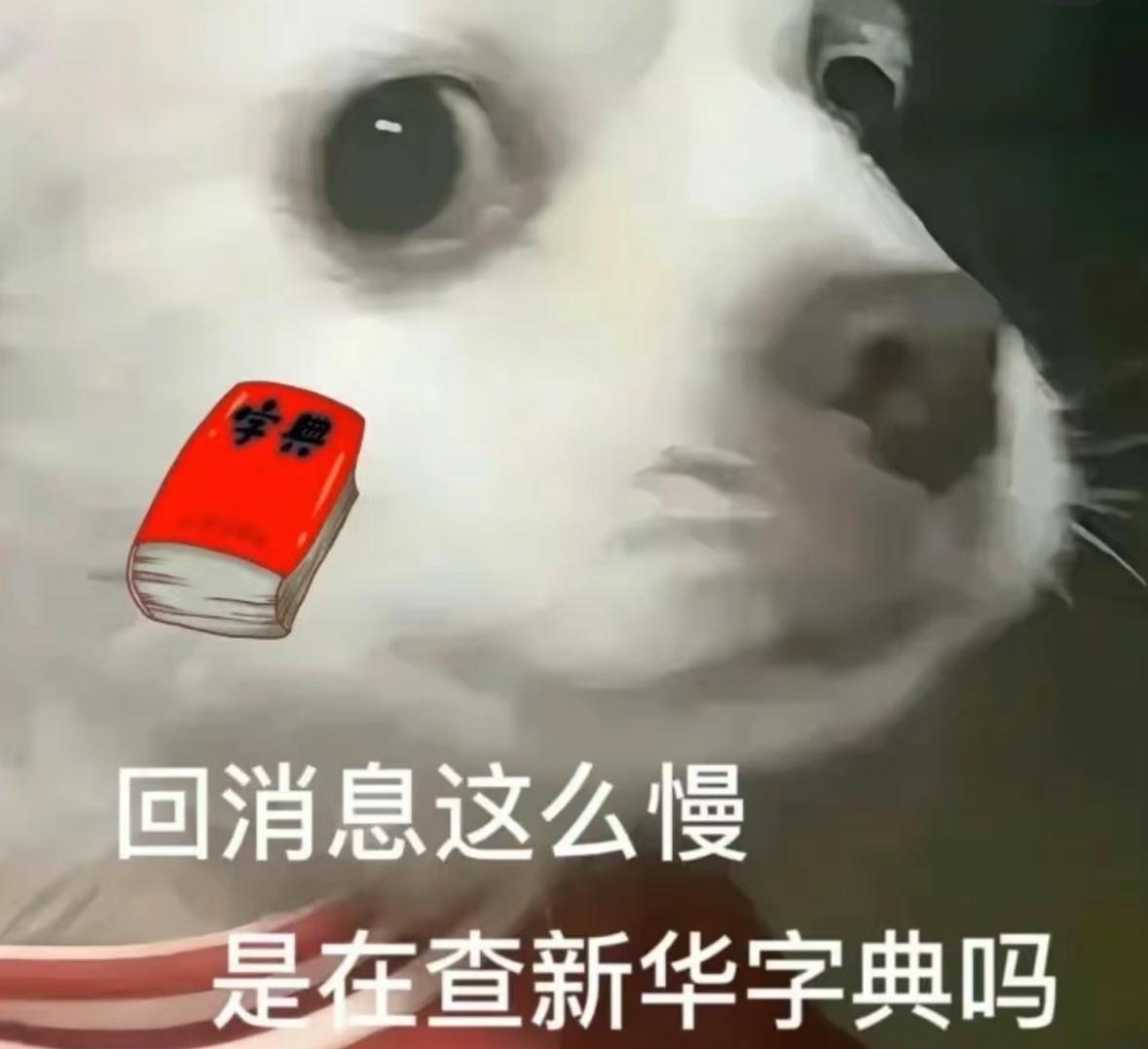 有没有可爱犯贱的表情包啊