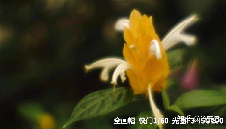 鏡頭買賣,收購鏡頭