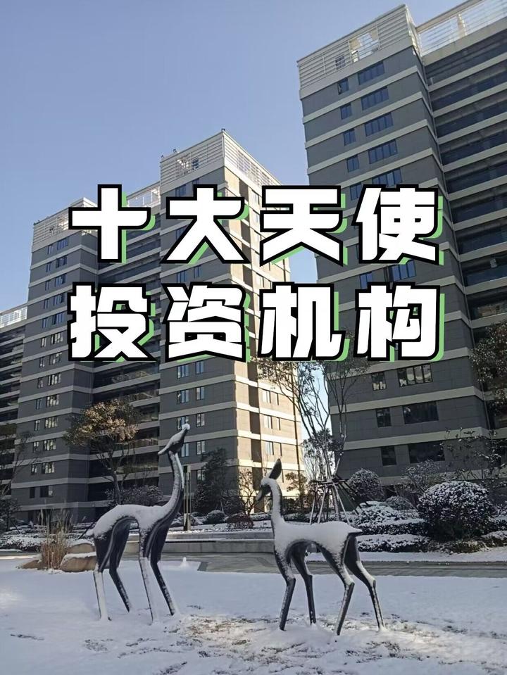 中国十大天使投资机构