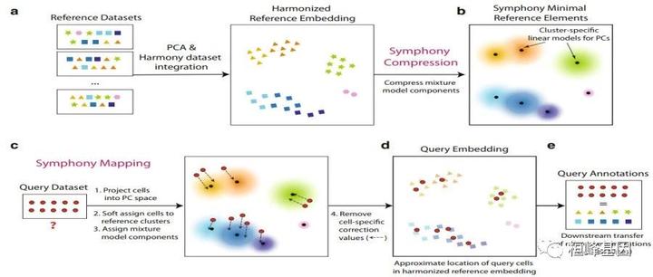 SCS【19】单细胞自动注释细胞类型(Symphony) - 知乎