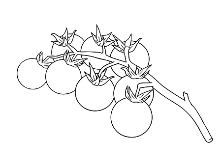 3. 品质精装户型
