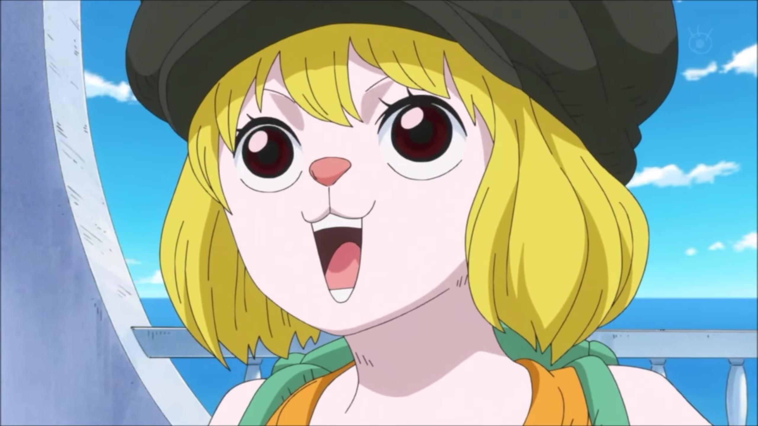 海贼王里加洛特这么萌,为什么找不到好看的壁纸呢?