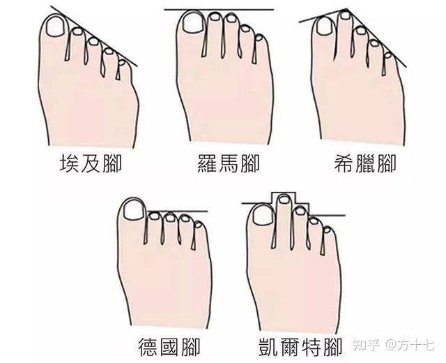 你的脚型暴露了你的“本性”,这种脚型的人往往都很聪明 - 知乎