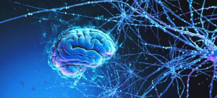 Science | 情绪的双通道：同侧与对侧神经投射的奥秘 - 知乎