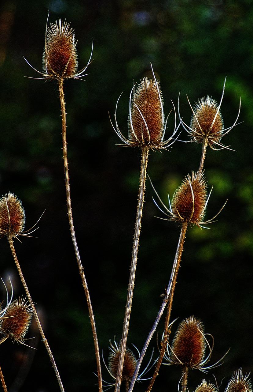 2. 最佳亮度设置