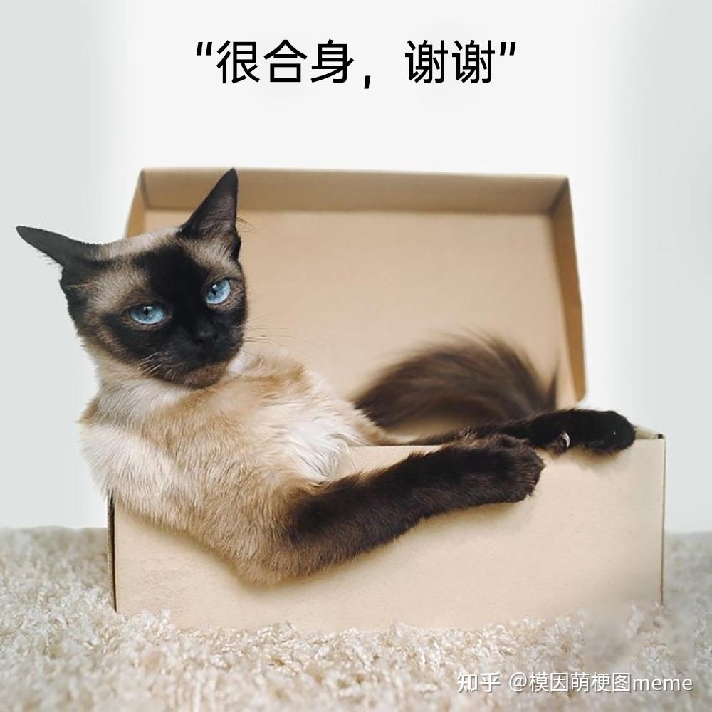 有什么好用的meme梗图和表情包搜索引擎或网站? - 知乎