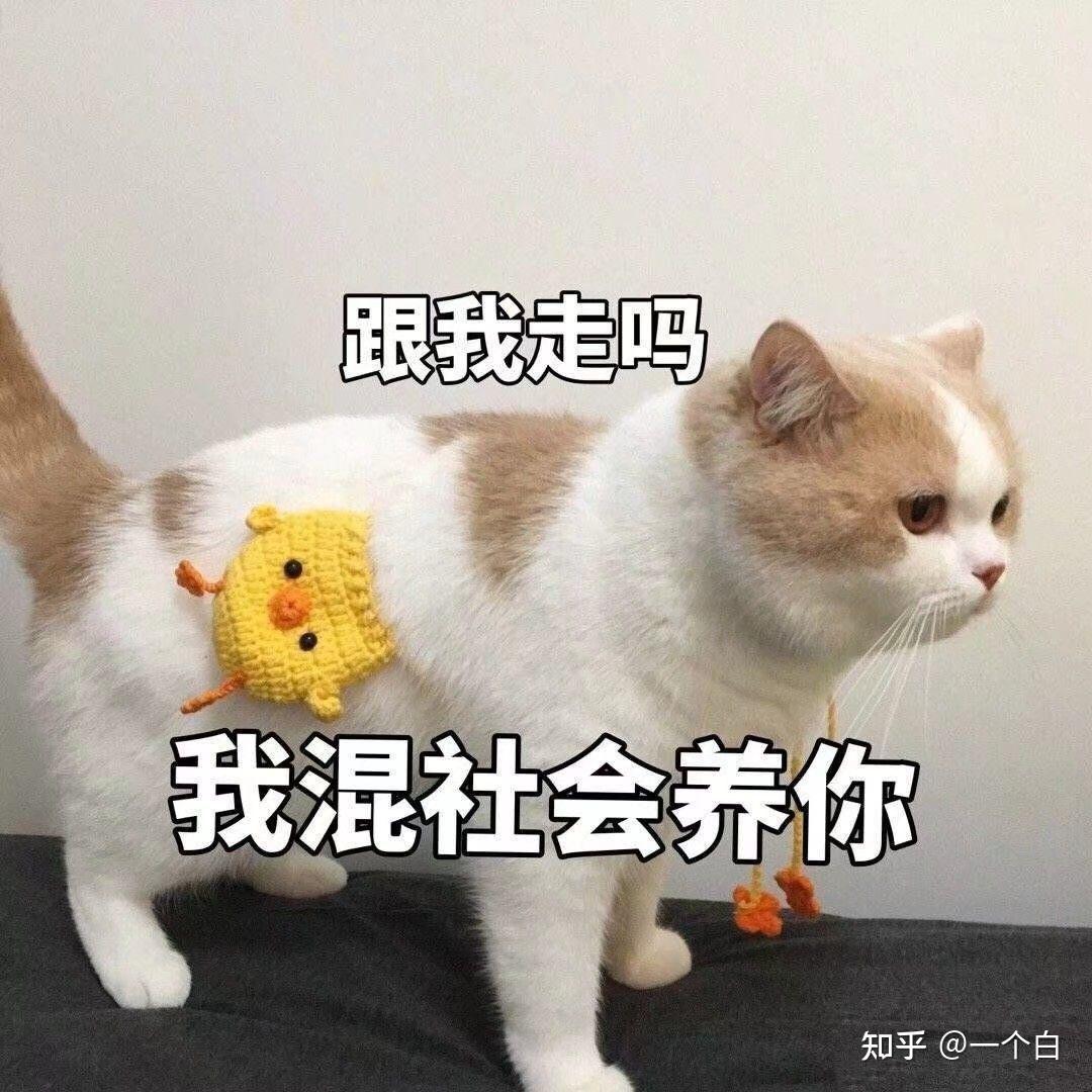 知识产权归属协议模板- 知乎