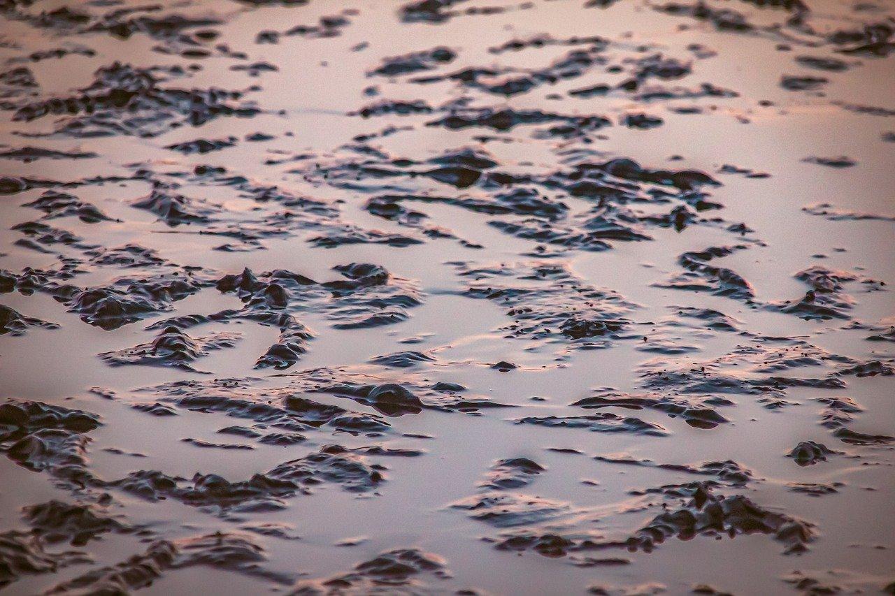 孤独中的成长与发现