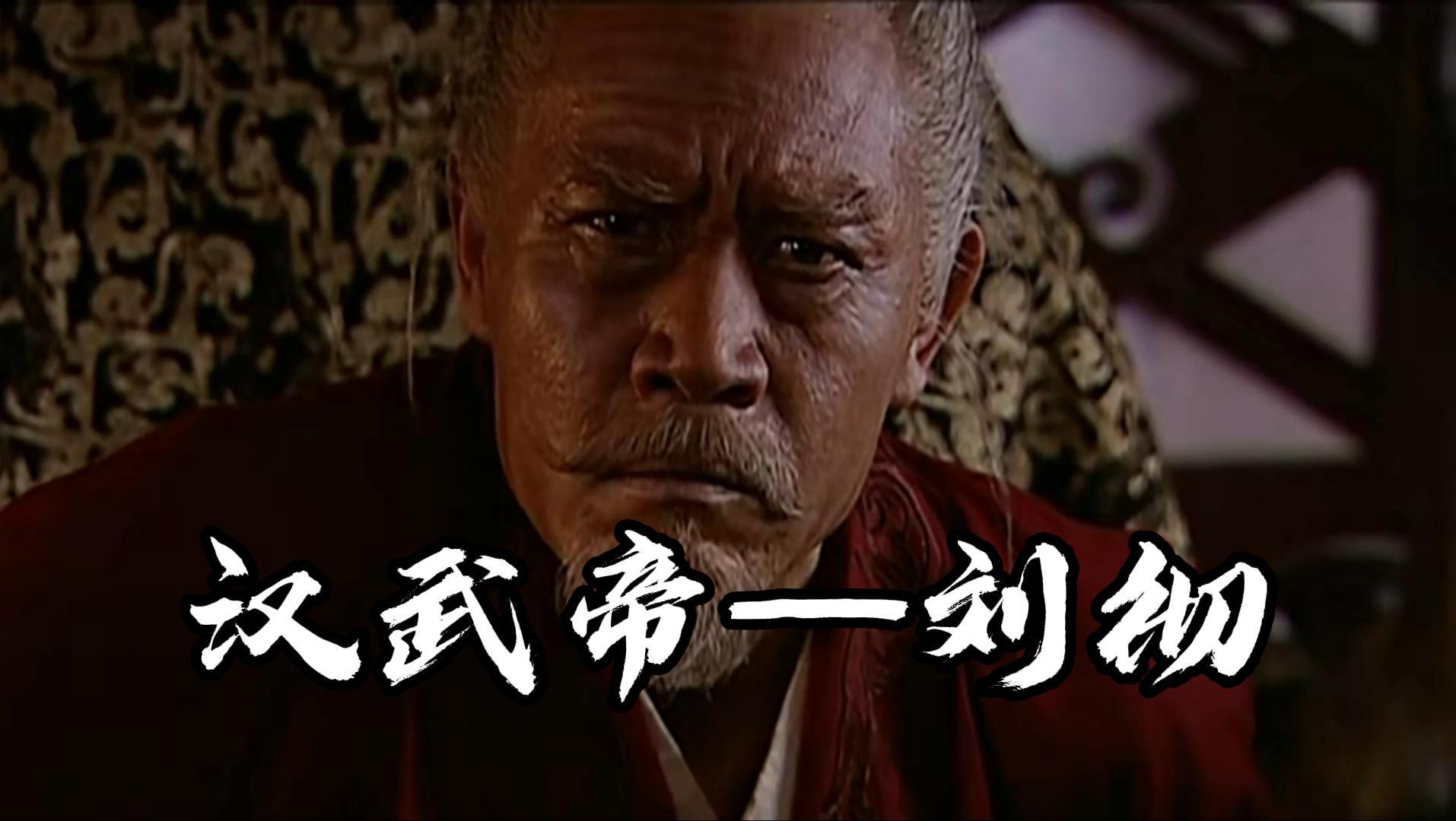 如何评价汉武帝刘彻?