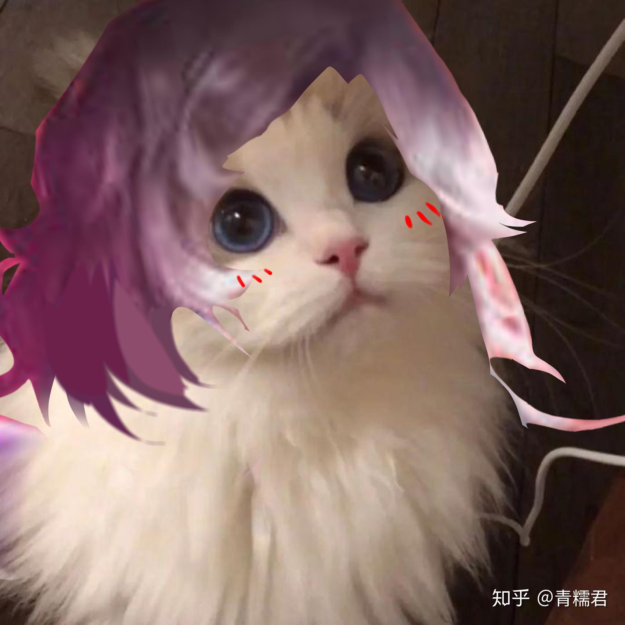 有没有元歌换头的头像