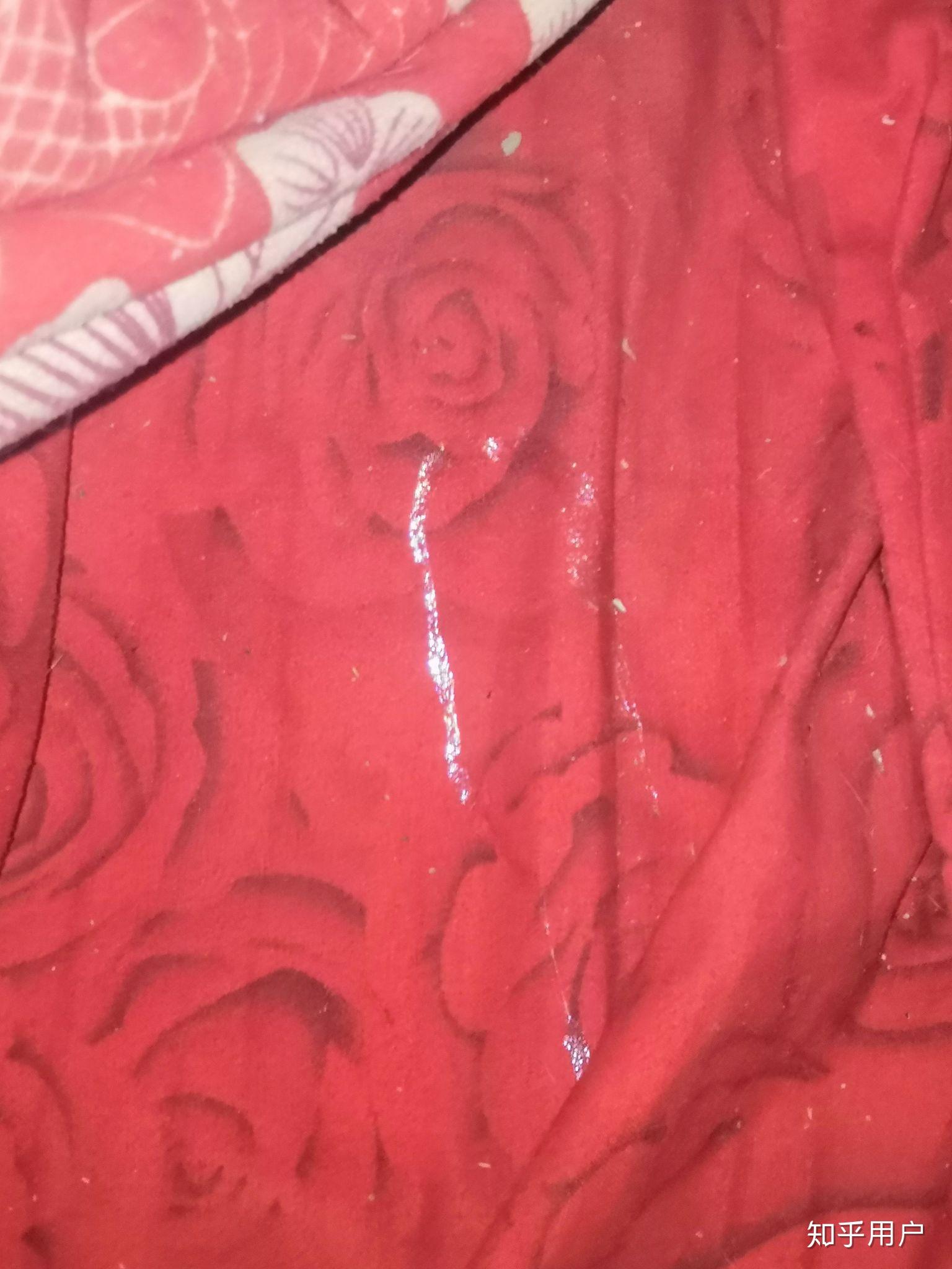 家里有鼻涕虫怎么办我真的要吓死了