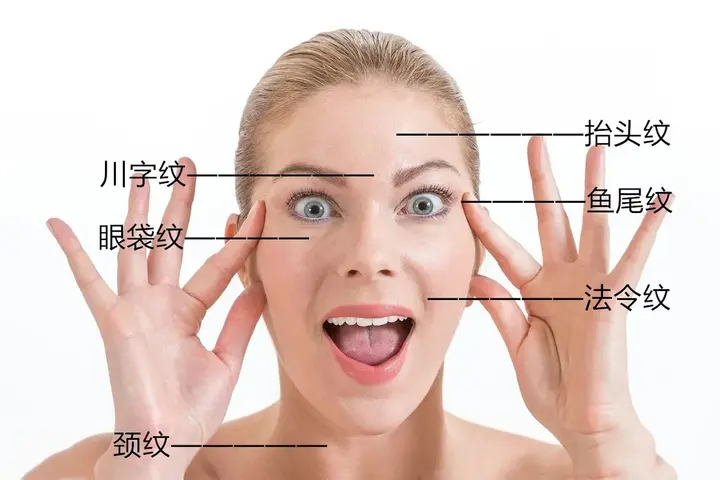 脸上6种细纹产生的原因 - 知乎