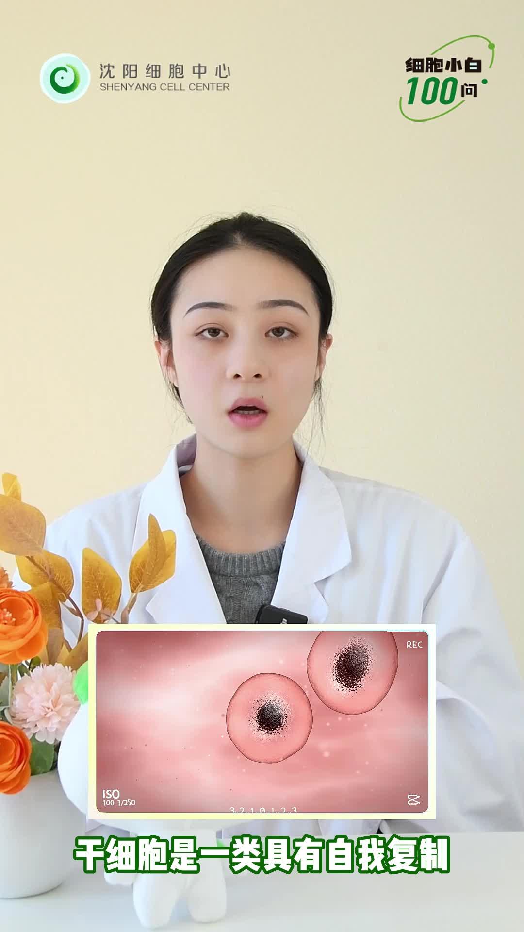 细胞小白100问之第一问《什么是干细胞》 - 知乎