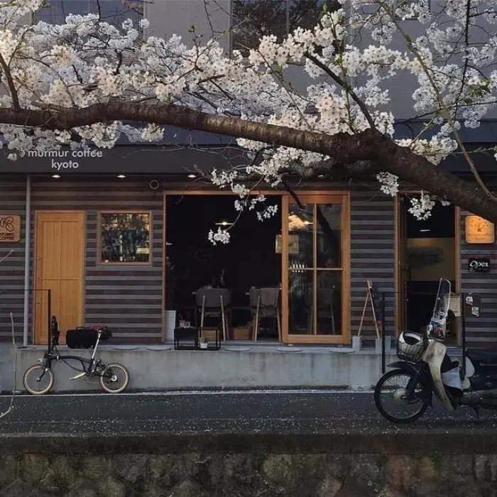 有哪些好看的qq主页背景图