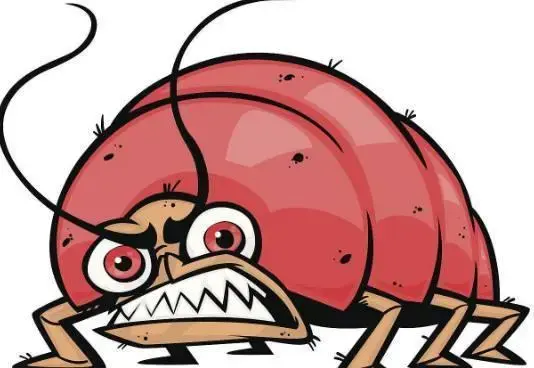 跳蚤如何清除小贴士集锦