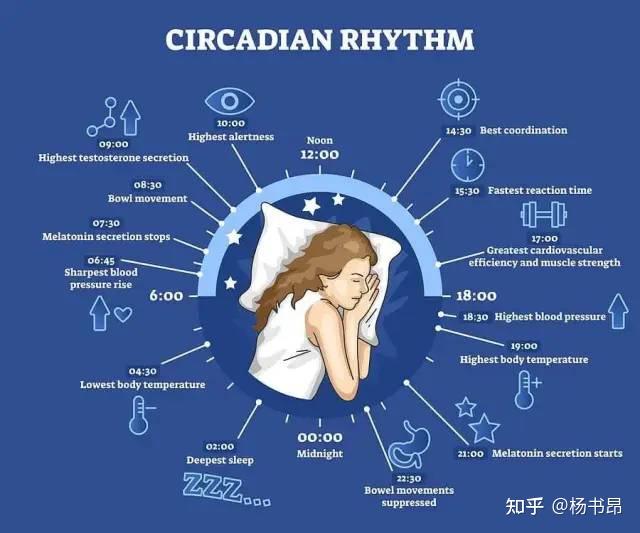 【佳福瑞脑科学实验室】“阳康”后，你的睡眠还好吗？ 知乎 
