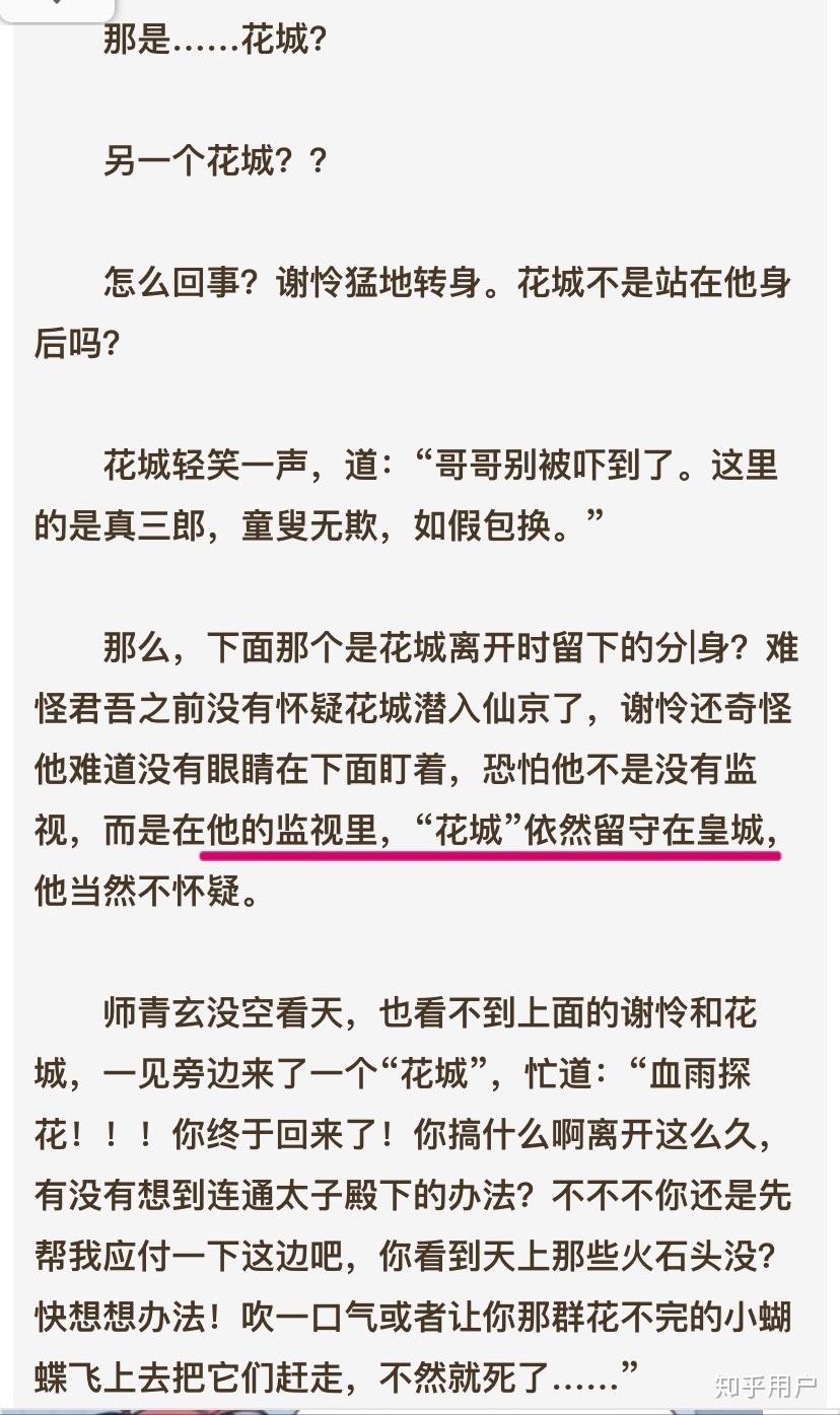《天官赐福》人阵里花城的分身是黑水吗? - 知乎