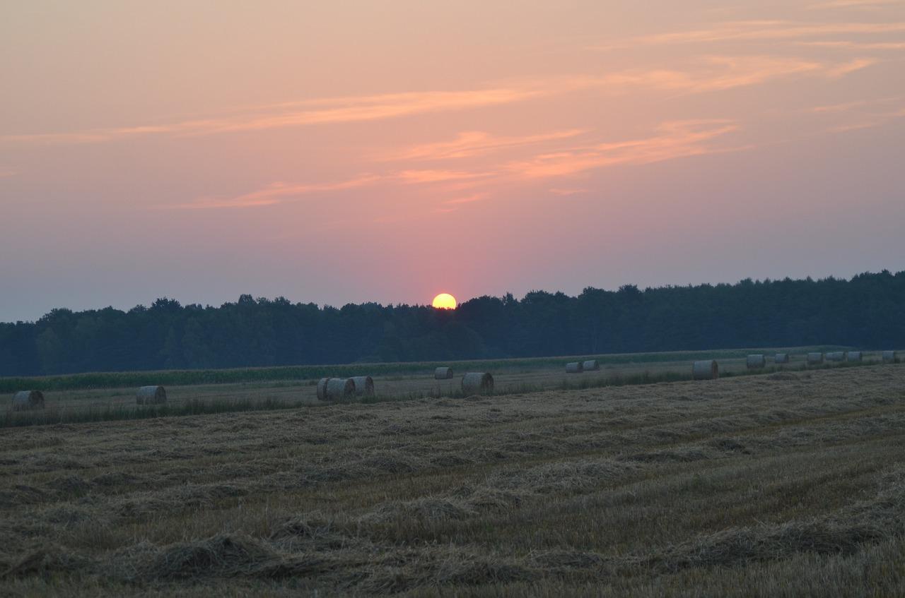 社区里的好光线在哪里