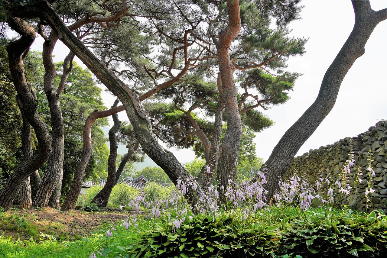 3. 工业厂房解读