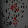 杭州晚春